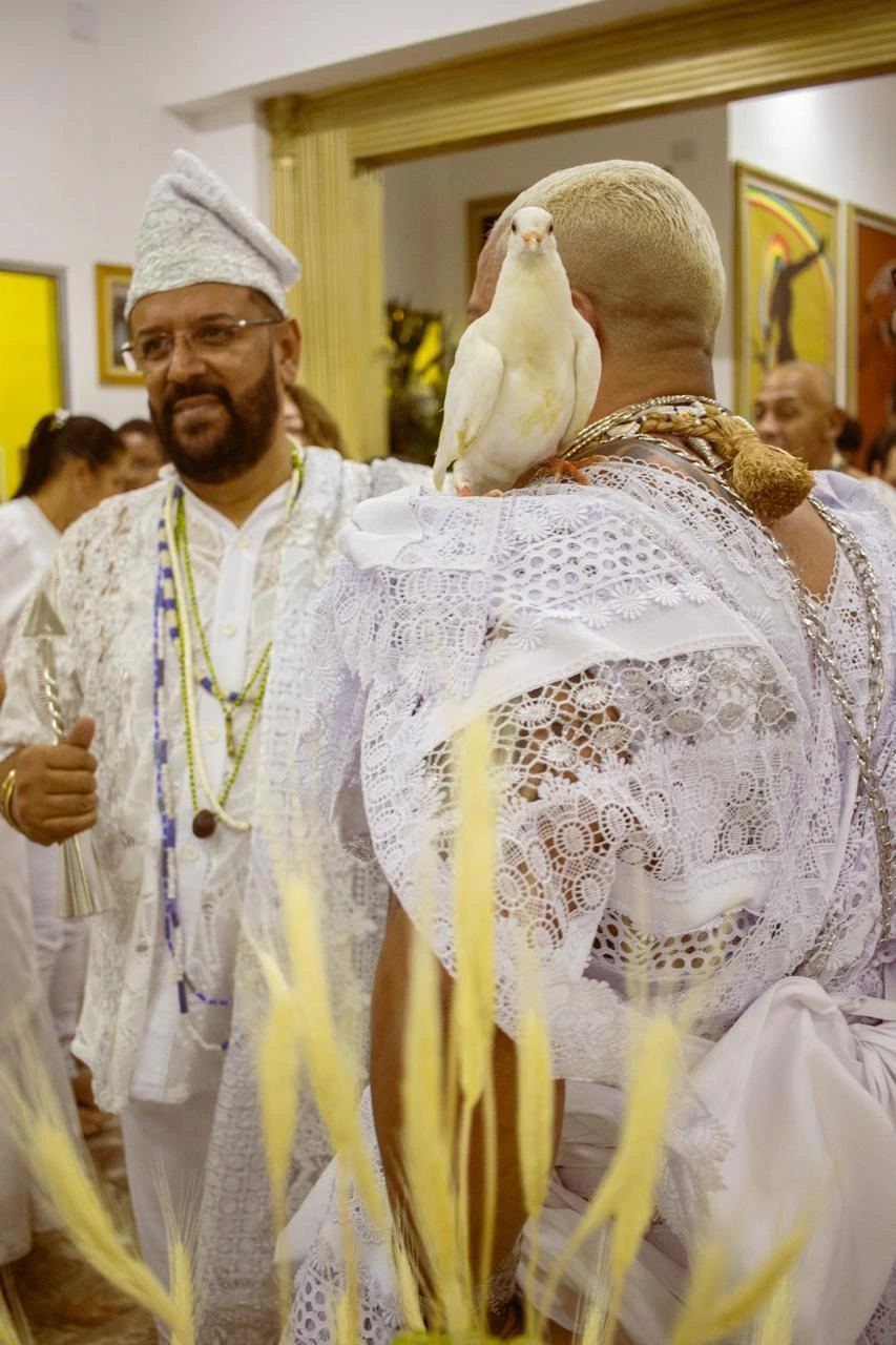 WhatsApp Image 2025-04-16 at 18.01.03 (2)